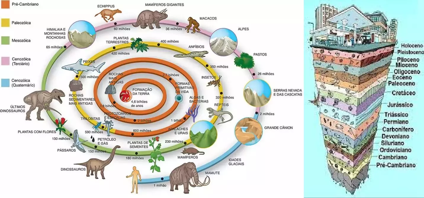 O que é a época geológica do Antropoceno e suas características - Iberdrola