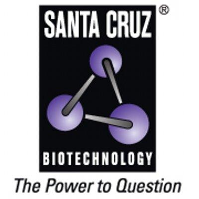 Santa Cruz