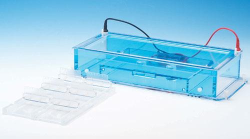 Gel System Tray Mini-Gel