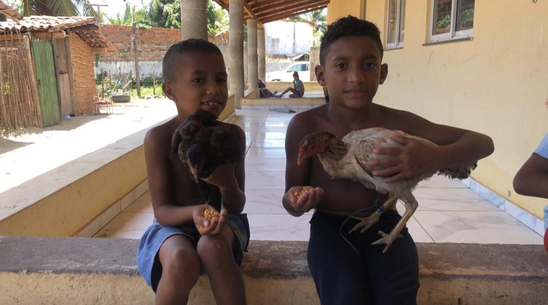 No Ceará, crianças pedem galinhas em carta a Papai Noel para suas famílias terem 'todo dia um ovo para comer'