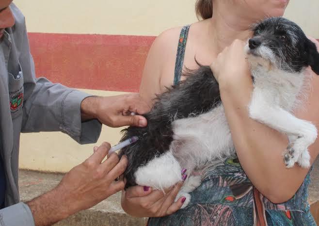 Moradores de São Gonçalo do Amarante podem solicitar vacinação de cães e gatos em casa-Saiba mais