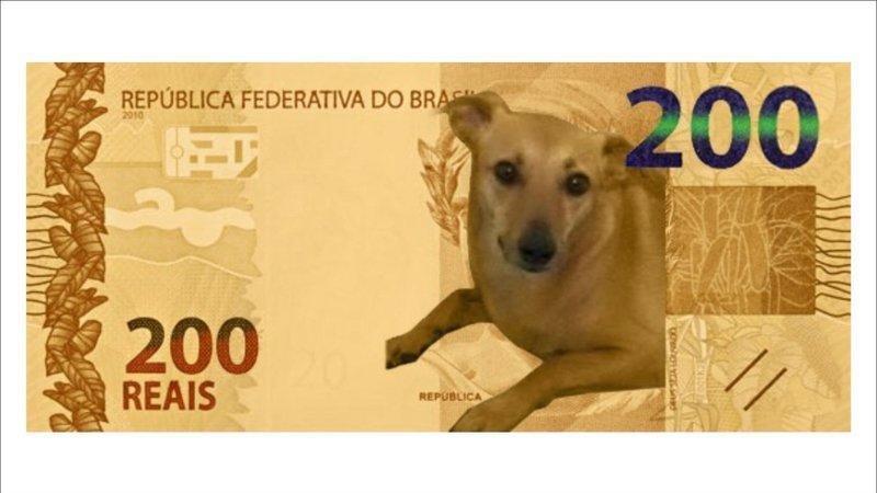 Após petição online, BC considera vira-lata caramelo para nota de real