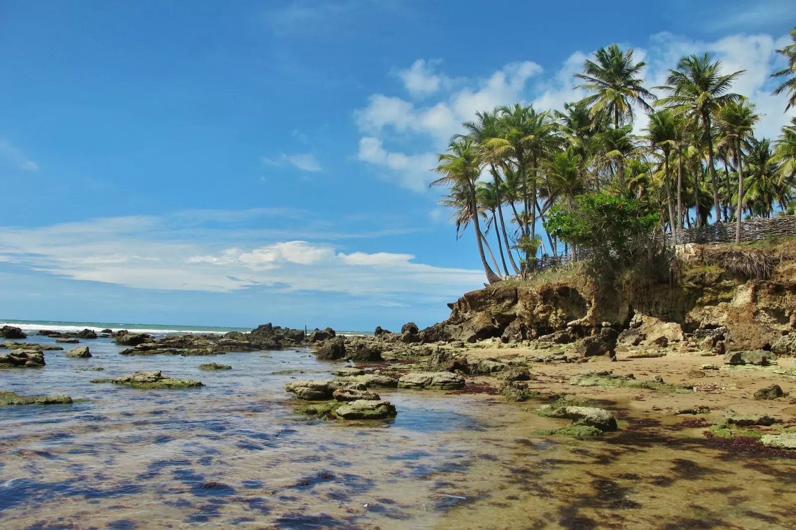 Praias do Cumbuco, Pecém, Taiba , Paracuru e Lagoinha estão próprias para banho neste fim de semana, indica Semace