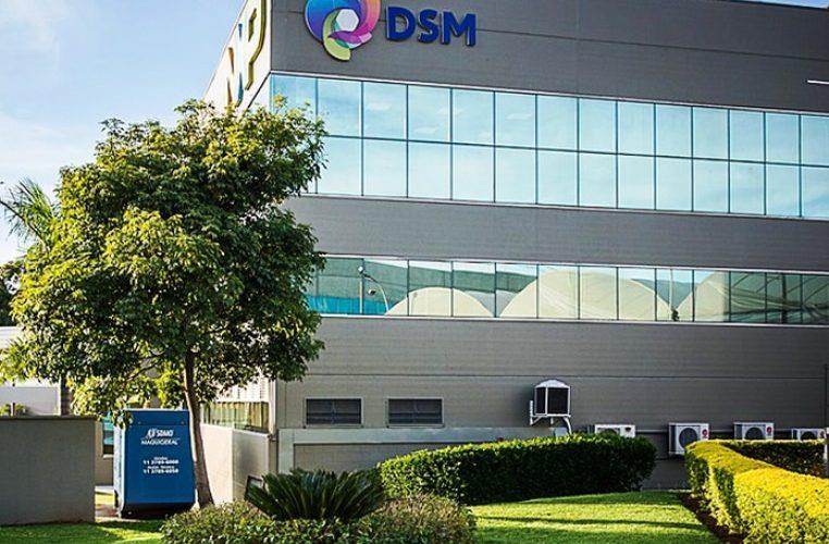 DSM abre inscrições para trainee no Brasil e no México