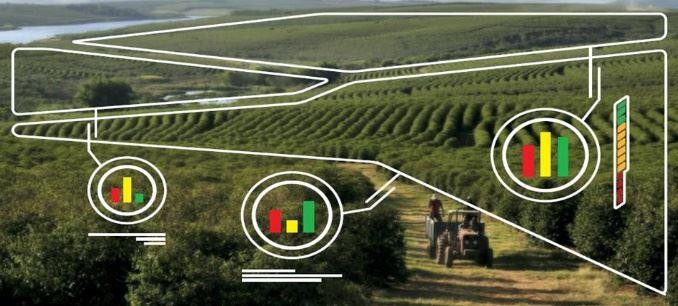 Identificação do DNA do solo auxilia na escolha por áreas com potenciais para cafés especiais