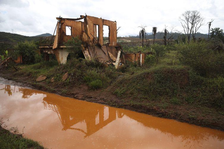 Fundação aponta avanço na recuperação de áreas afetadas por rompimento de barragem em MG