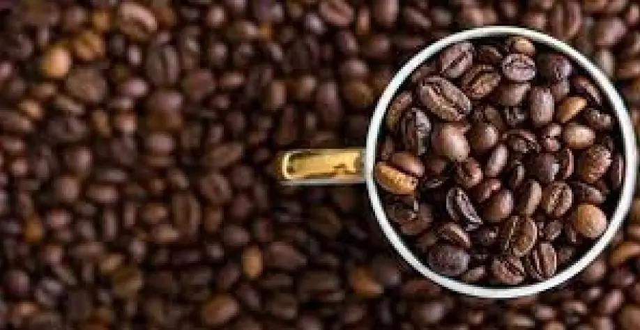 AGRO: Conab espera 55 mi de sacas de café em 2023, mas mercado aposta em mais