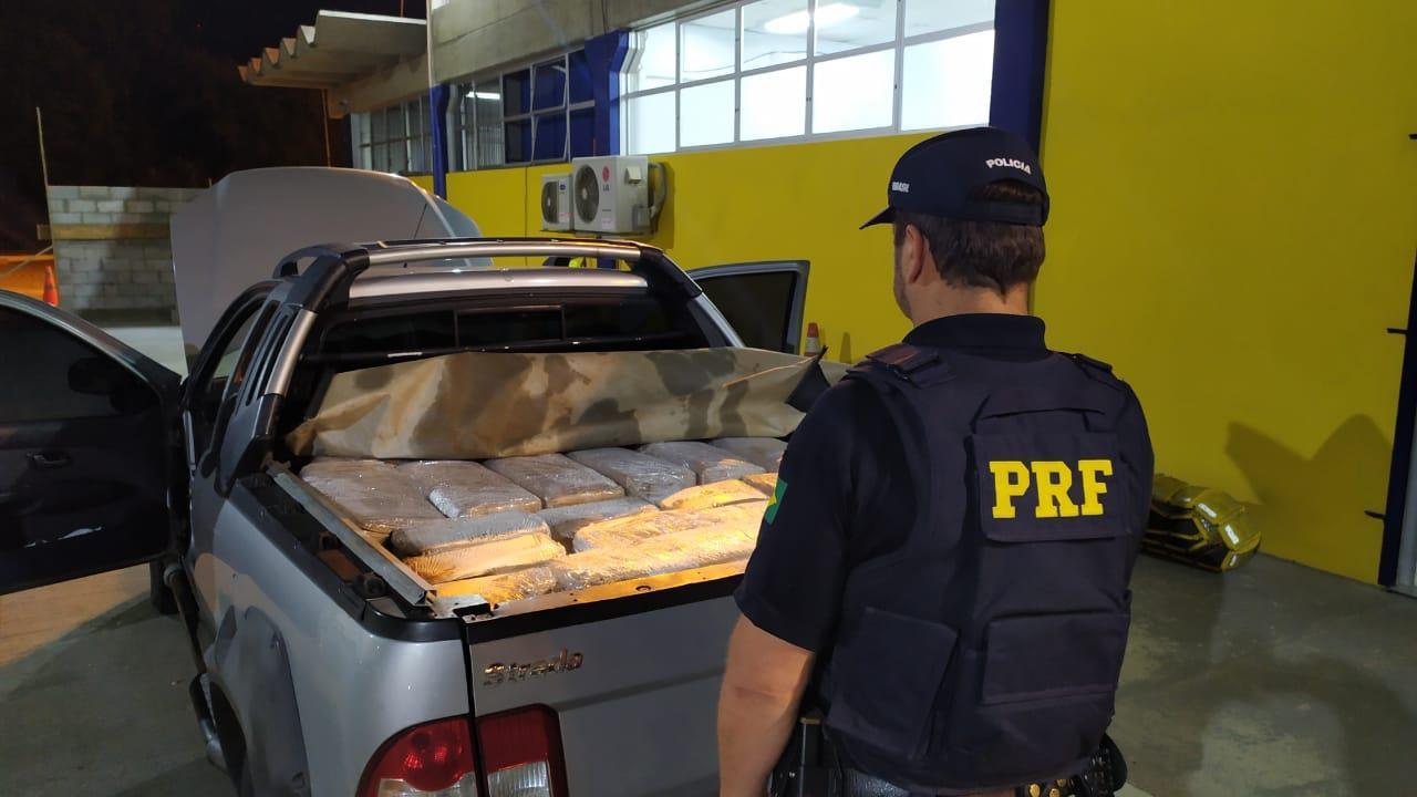 PRF apreende 855 kg de camarão contrabandeado em Mafra