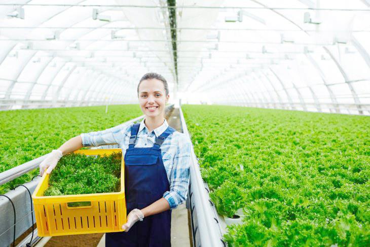 Santa Catarina cria campanha de proteção ao agronegócio