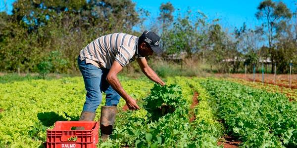 Governo fixa medidas para garantir a segurança alimentar da população