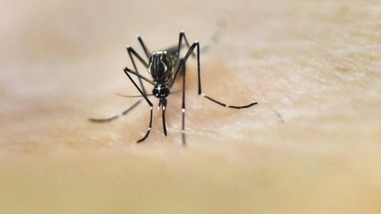 Boletim da dengue aponta 14% de aumento no número de casos e 12 mortes em uma semana no Paraná