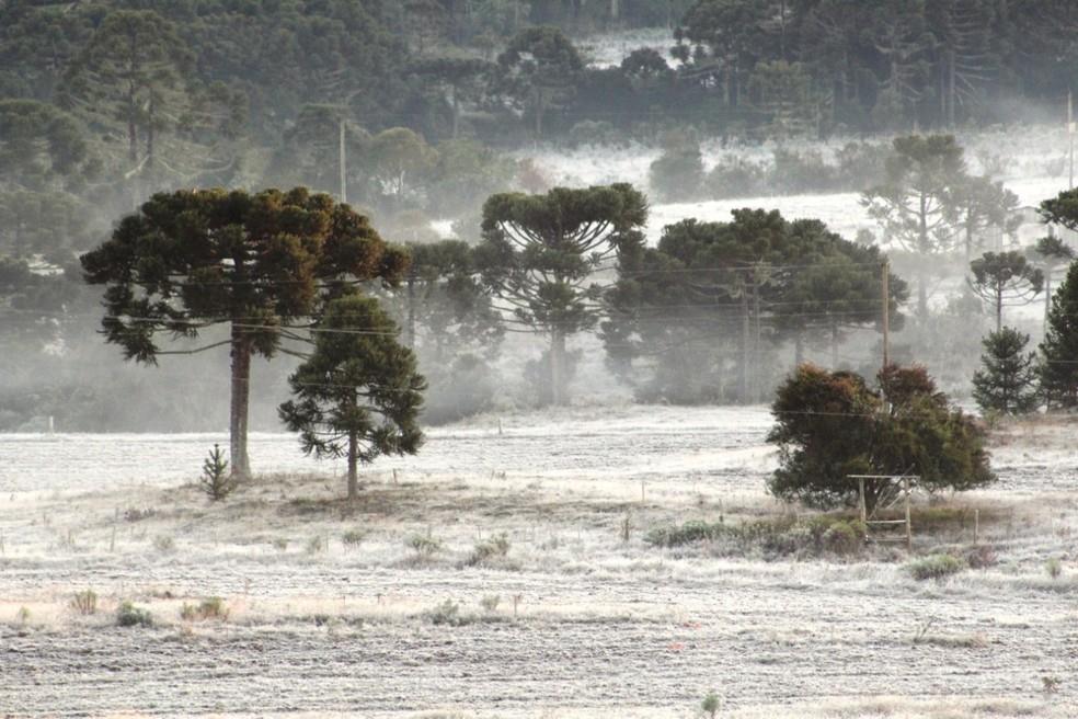 Sexta-feira começa com geada e temperaturas negativas na Serra de SC; veja fotos