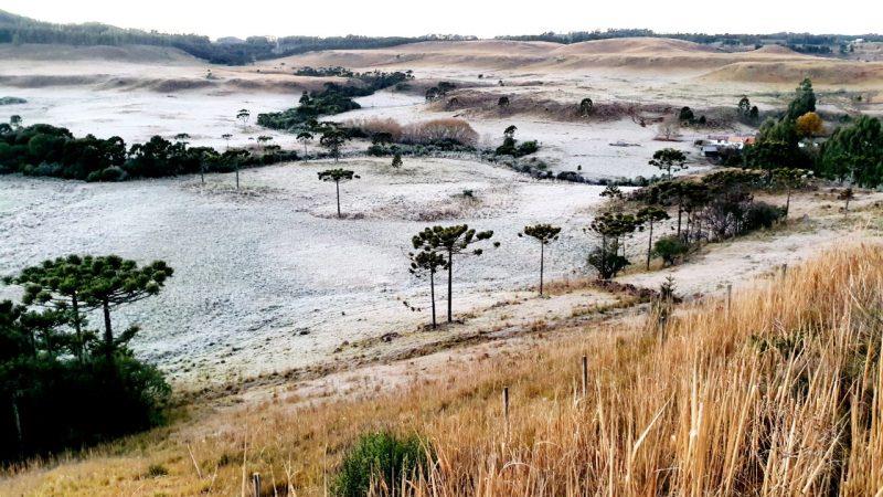 Manhã de quinta-feira em SC, amanhece com temperaturas negativas