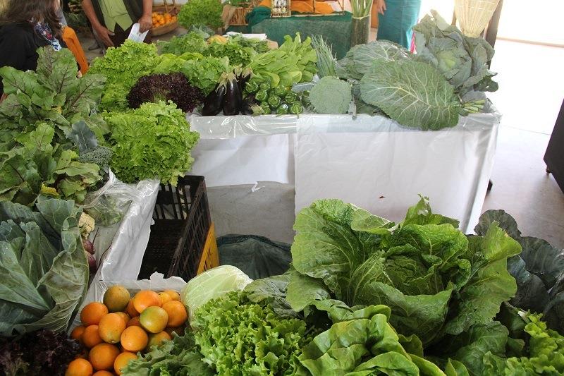 Feira da agricultura familiar está de volta à Praça Lauro Müller