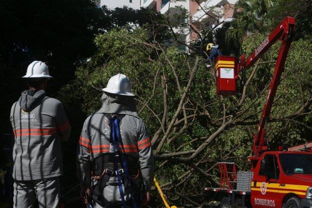 Ciclone em SC: Governo do Estado decreta calamidade pública por danos causados por evento climático