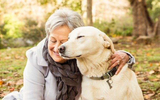 Benefícios dos animais de estimação para o nosso bem estar