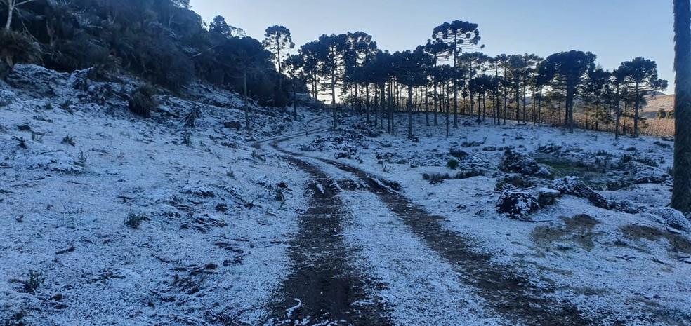 SC registra temperaturas abaixo de 0°C com neve em algumas regiões