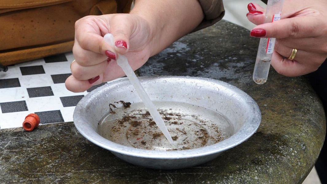 Com aumento de casos, Paraná declara epidemia de dengue