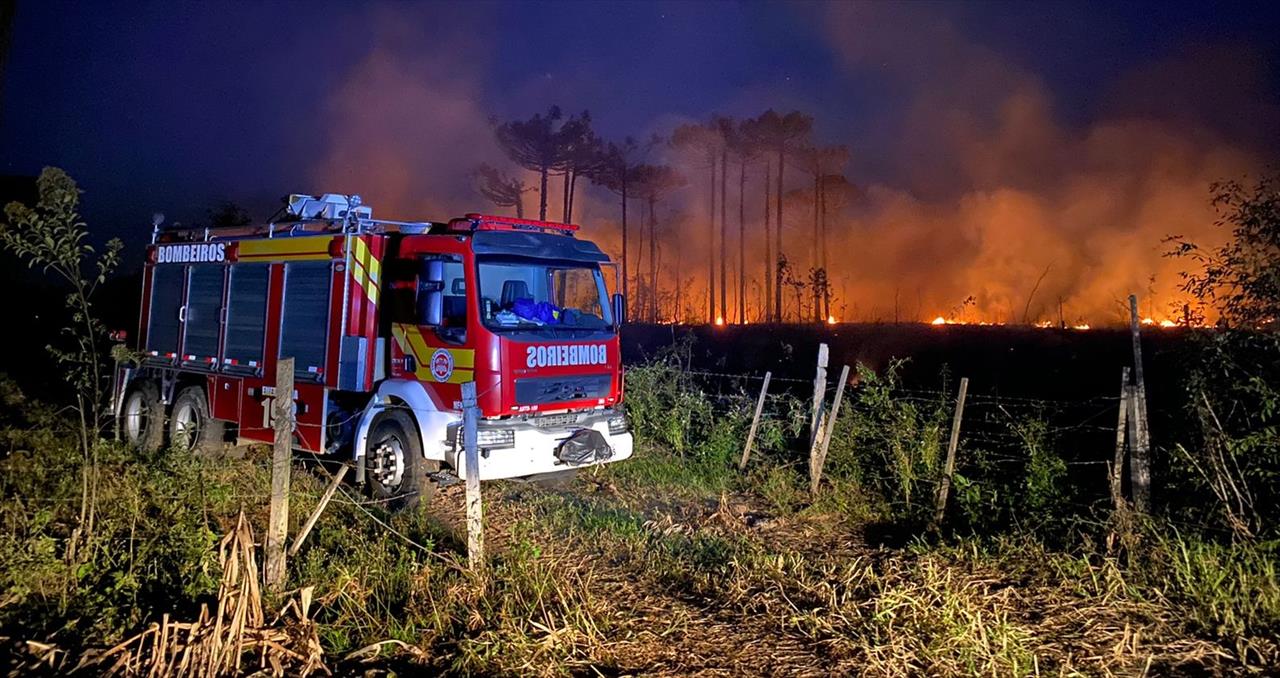 Incêndio atinge cerca de um alqueire de reflorestamento