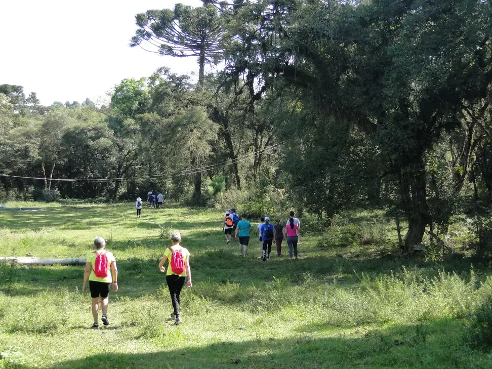 Rio Negro promove 1ª Caminhada na Natureza da Fazendinha