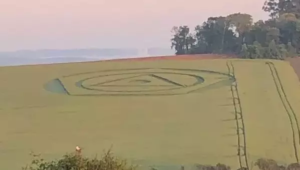 Agroglifos aparecem em plantação de trigo em Ipuaçu, no Oeste de SC