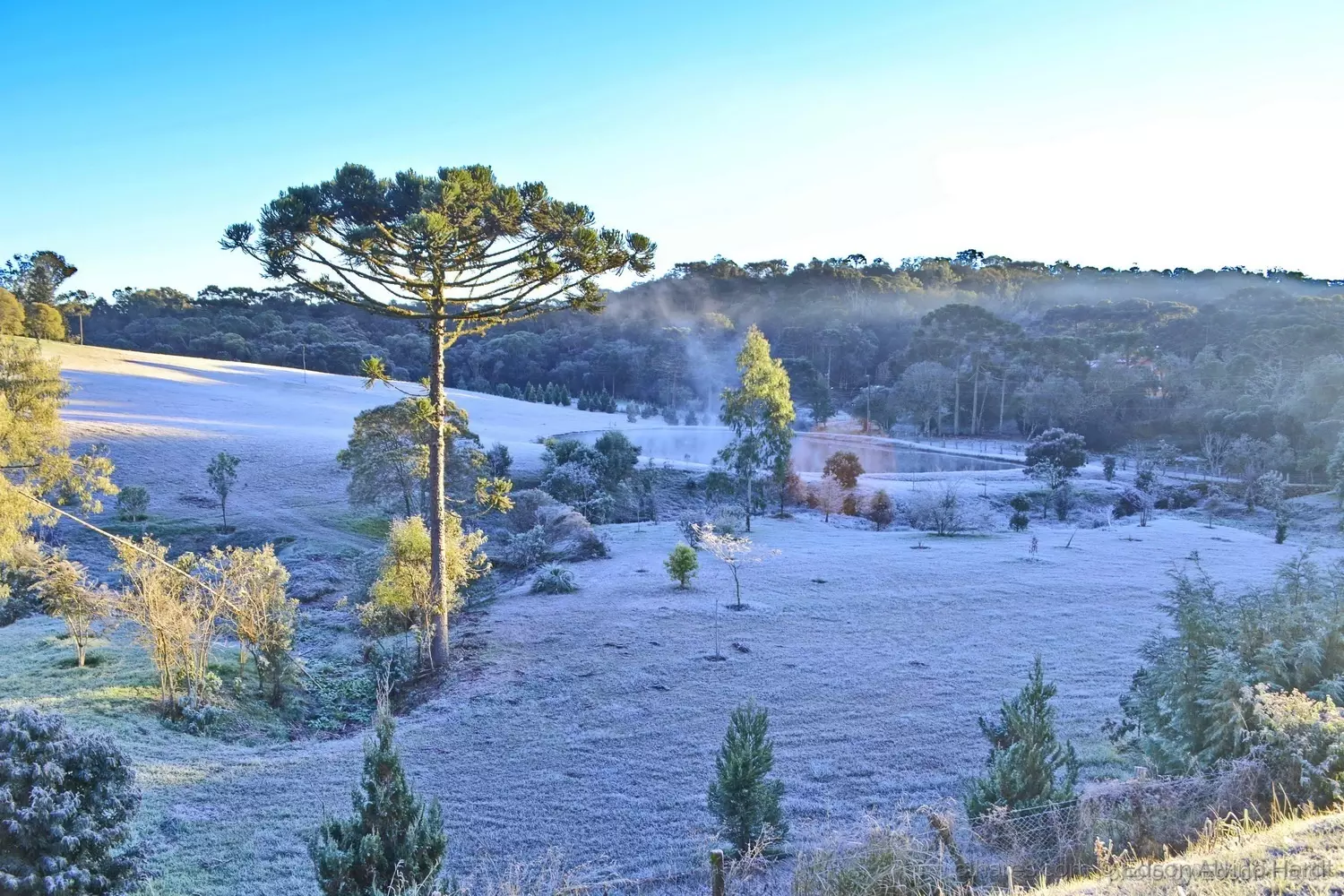 Vai ter neve em SC? Chegada de 2 massas de ar frio em menos de uma semana derrubam temperaturas