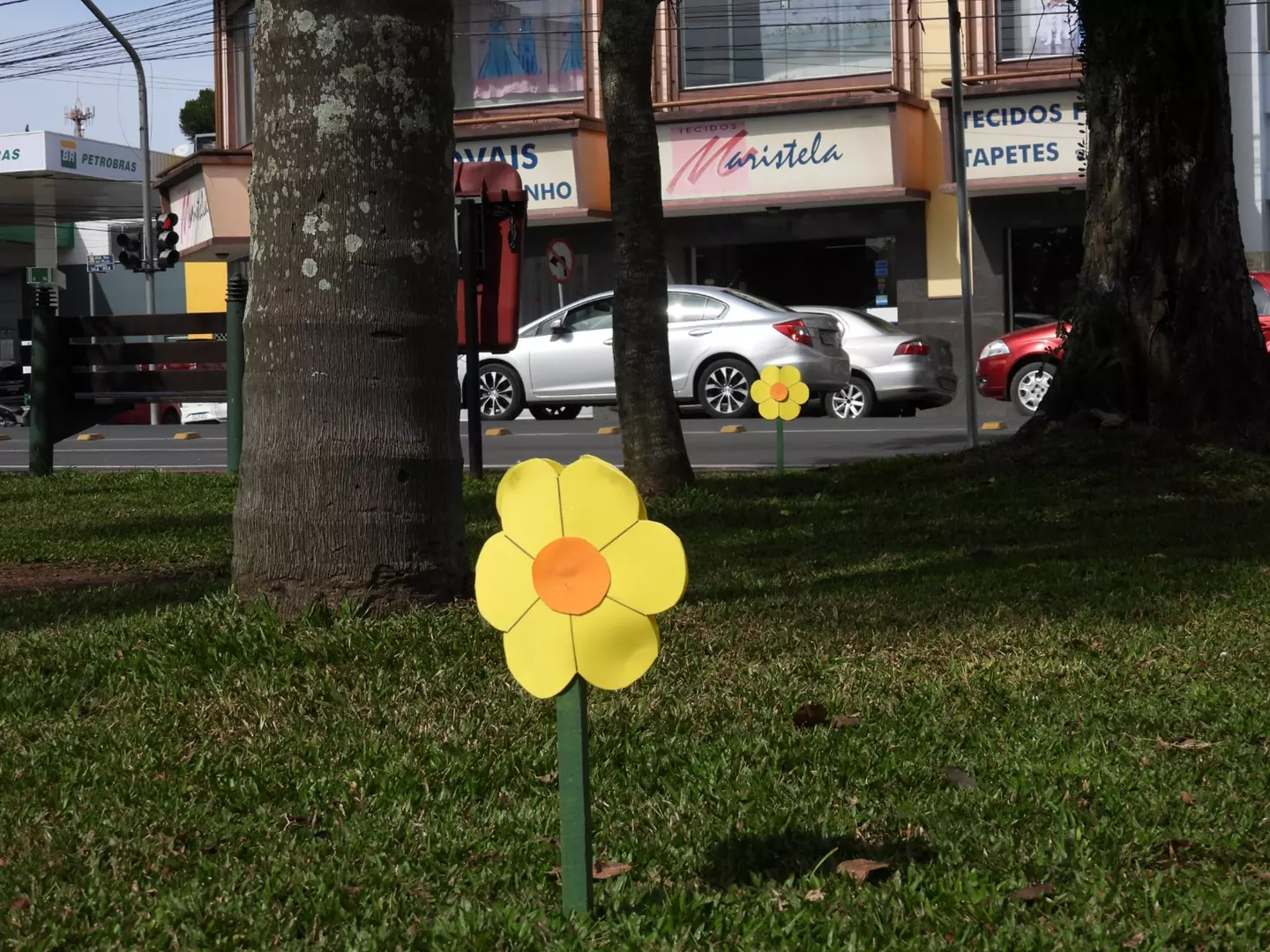 Flores nas ruas e praças marcarão 