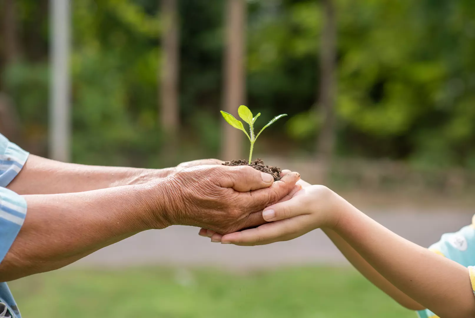 Mafra terá extensa programação para celebrar o mês do meio ambiente