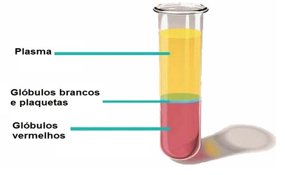 Estudo Sugere que Plasma Covalescente é Seguro no Tratamento da COVID-19