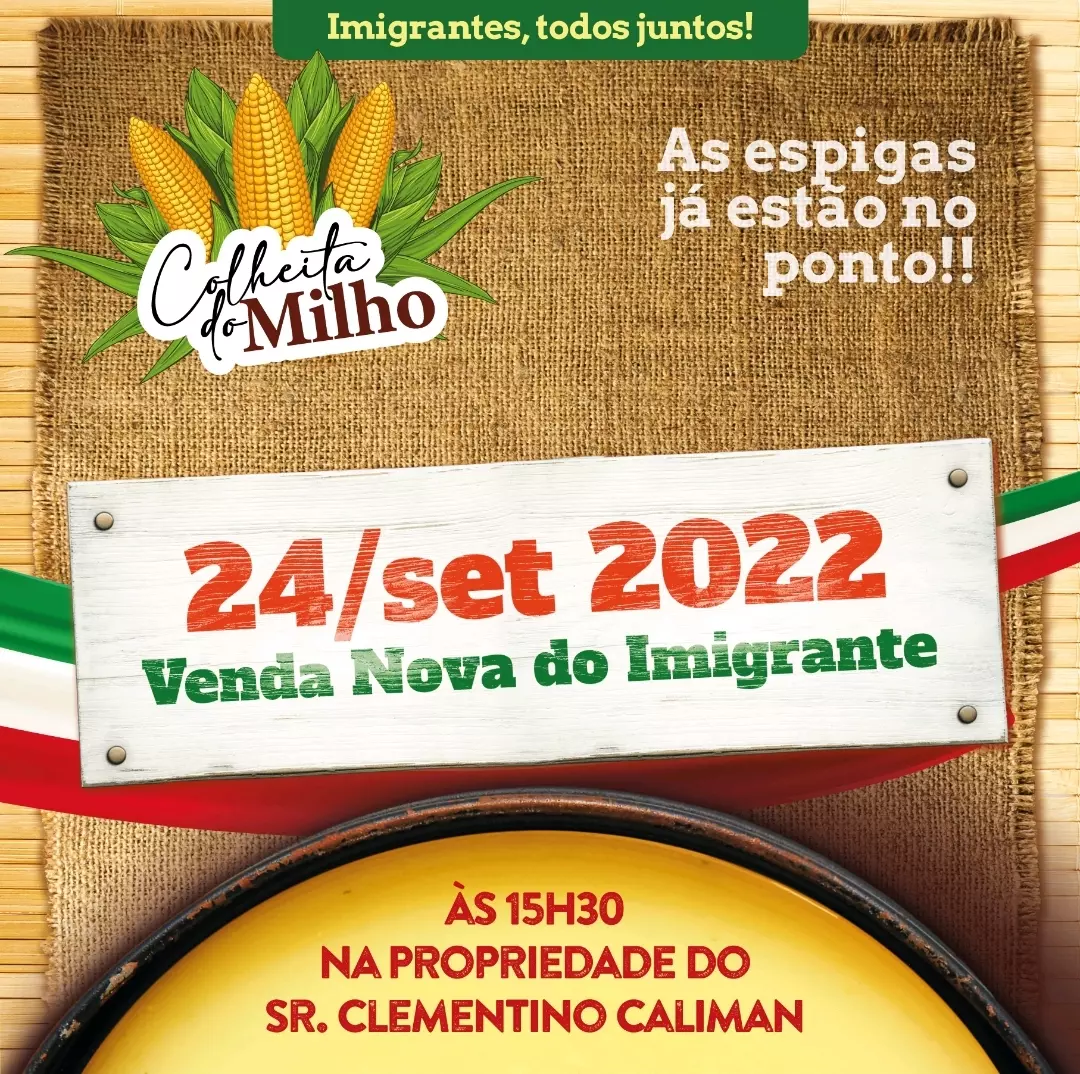 HORA DE COLHER O MILHO PARA A 44ª FESTA DA POLENTA!