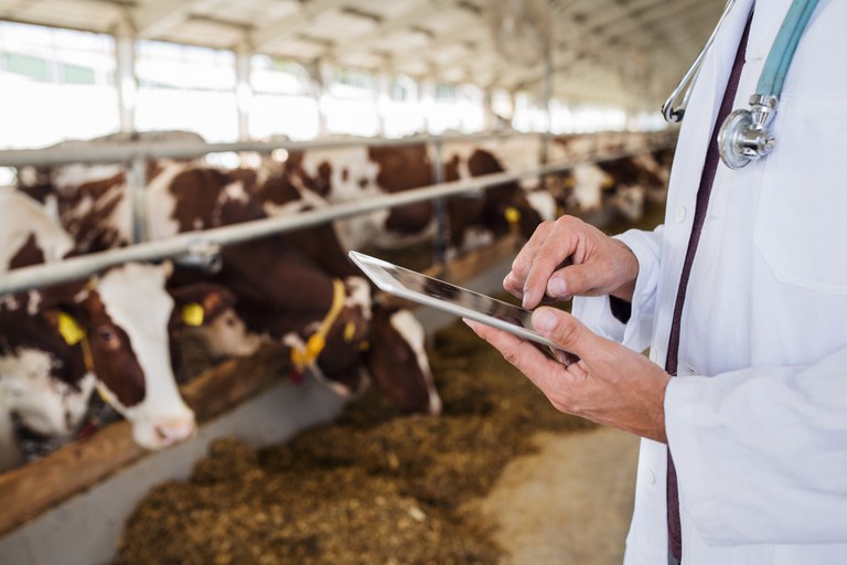 Habilitação de veterinários no Programa de Controle e erradicação da Brucelose e Tuberculose Animal pode ser feita online.