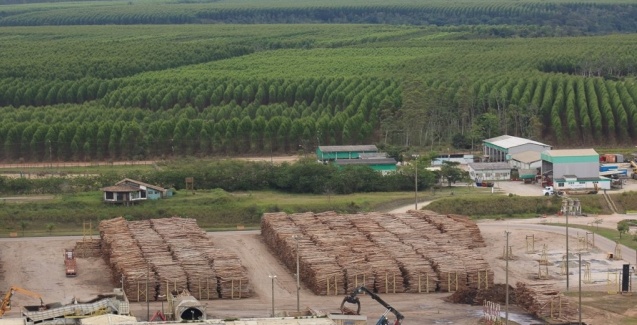 Veracel recebe reconhecimento inédito por conservação da biodiversidade em florestas plantadas.