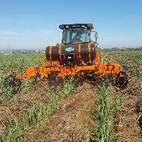 Implemento melhora controle de pragas em soqueiras.