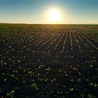 Saúde virou sinônimo de agronegócio, diz Tejon.