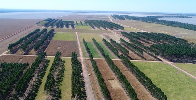 Agropecuária sustentável é a grande aliada da preservação ambiental.