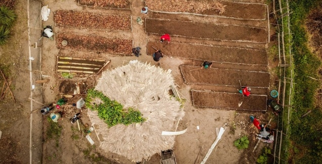 Curso gratuito em Agrofloresta trará fundamentos e caso real.