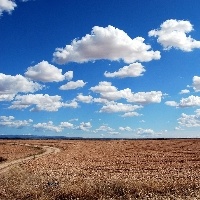 Vegetação nativa preservada ocupa 61% da área do Brasil.