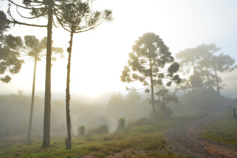 Inverno no Hemisfério Sul começa neste sábado (20).