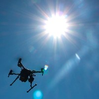 Drones preveem crescimento de cultura de raízes.