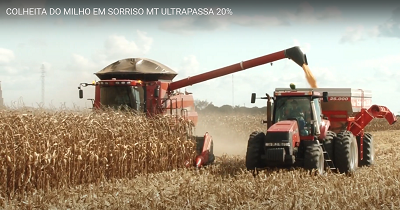 Colheita do milho em Sorriso MT ultrapassa 20%.