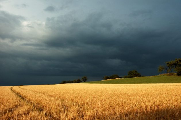 Condições climáticas no Rio Grande do Sul exigem atenção dos agricultores