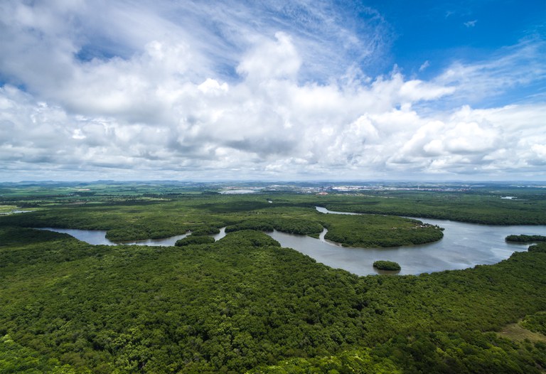 Ministra esclarece a investidores estrangeiros que regularização fundiária será importante para preservação da Amazônia