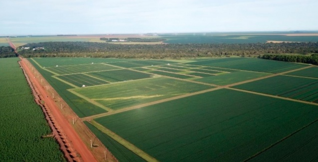 CAD Parecis dispõe de ferramentas que tornam possível a produção em solos arenosos