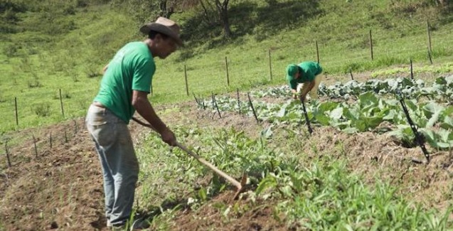 Pequeno agricultor deve ser beneficiado pelo acordo de cooperação entre CONAB e OCB