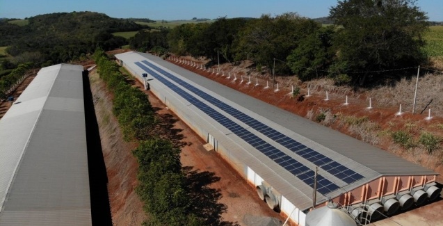 Aviário de Itambé (PR) prevê redução de até 90% na conta de luz