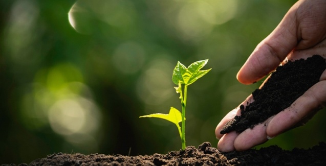 PepsiCo possui 80% de sua produção agrícola global de origem sustentável; meta é atingir 100% até o final do ano