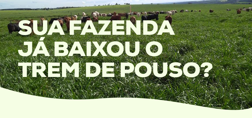 A temida seca: Sua fazenda já desceu o trem de pouso?