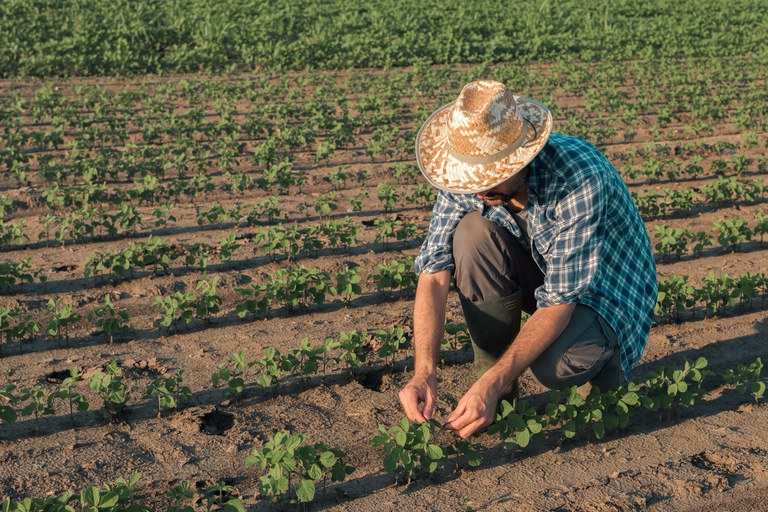 Garantia -Safra autoriza pagamento para mais de 60 mil agricultores familiares