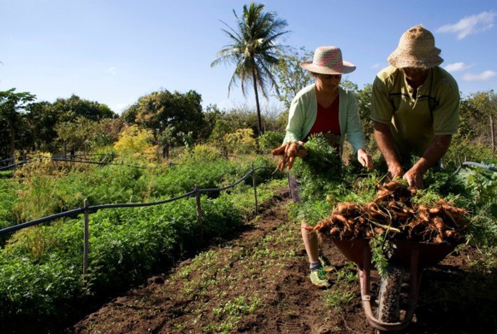 Projeto vai desenvolver agricultura familiar em município do Baixo São Francisco