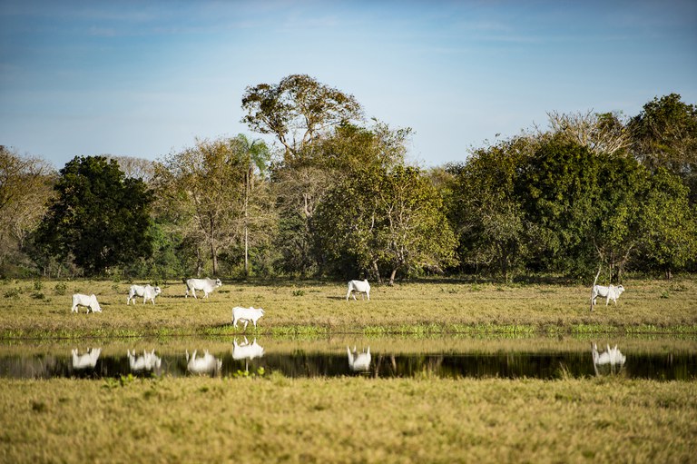 Comissão vai acompanhar políticas de baixa emissão de carbono na agricultura